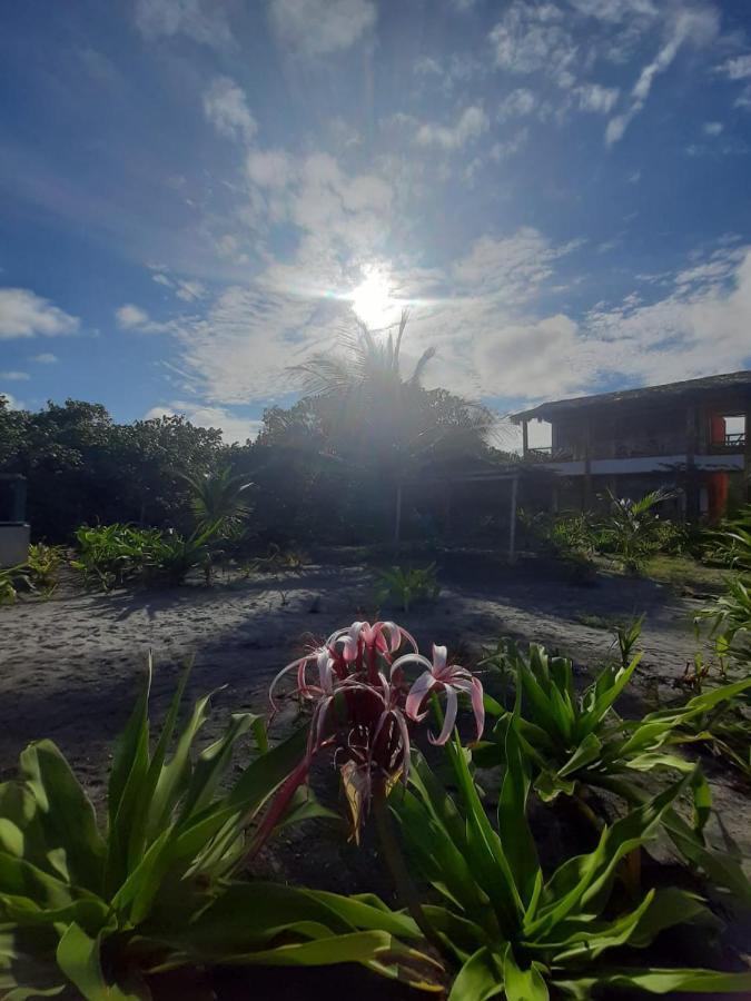 Seaside Garden Ecolodge Mompiche Eksteriør bilde